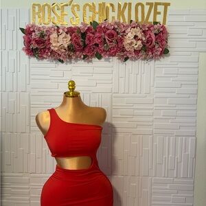 Rose's Chicklozet Red One Shoulder Dress